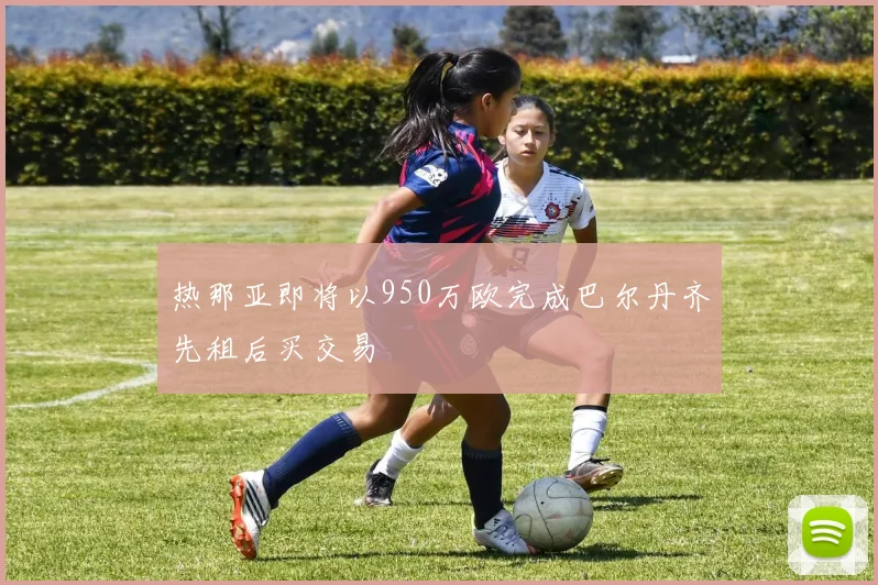 热那亚即将以950万欧完成巴尔丹齐先租后买交易